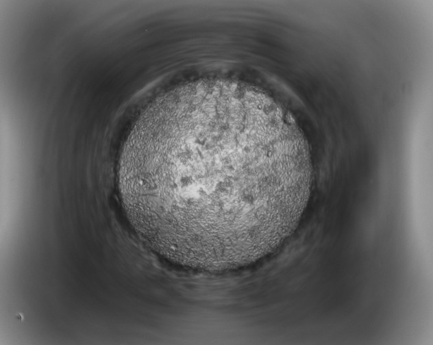 X0000083980821200703091822