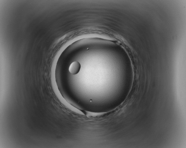 X0000083980822200703091822