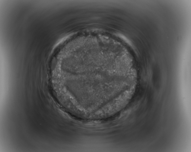 X0000083980823200703091822