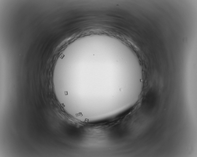 X0000083980824200703091822