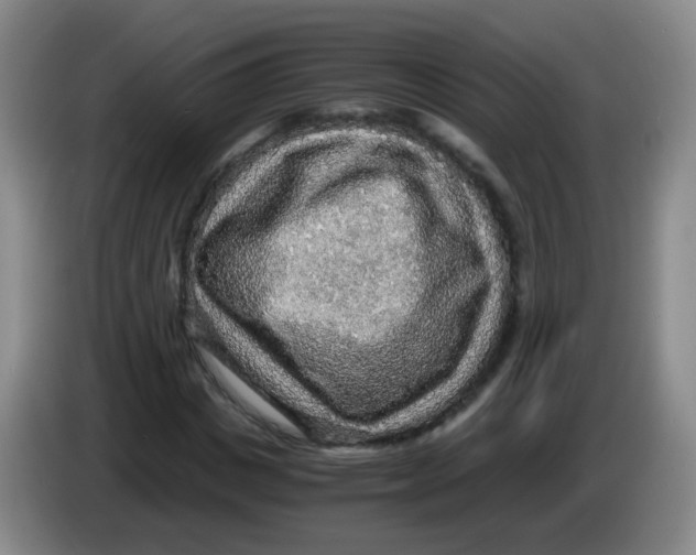 X0000083980825200703091822