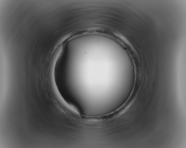 X0000083980826200703091822