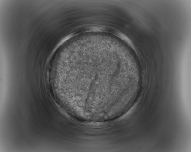 X0000083980827200703091822