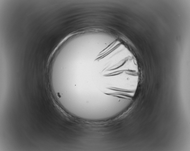 X0000083980828200703091822