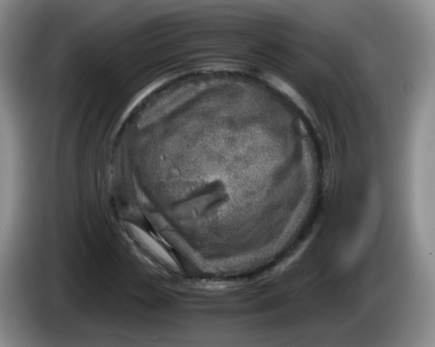 X0000083980829200703091822