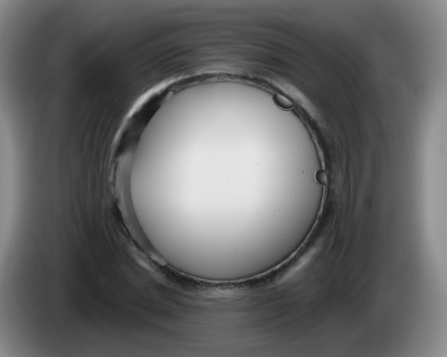 X0000083980830200703091822