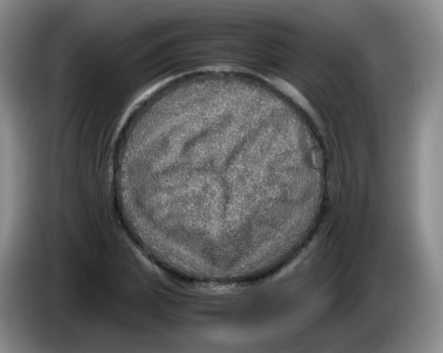 X0000083980831200703091822