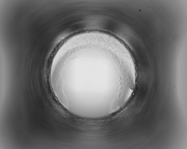 X0000083980832200703091822