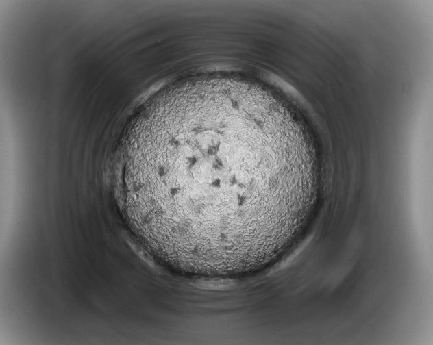 X0000083980833200703091822