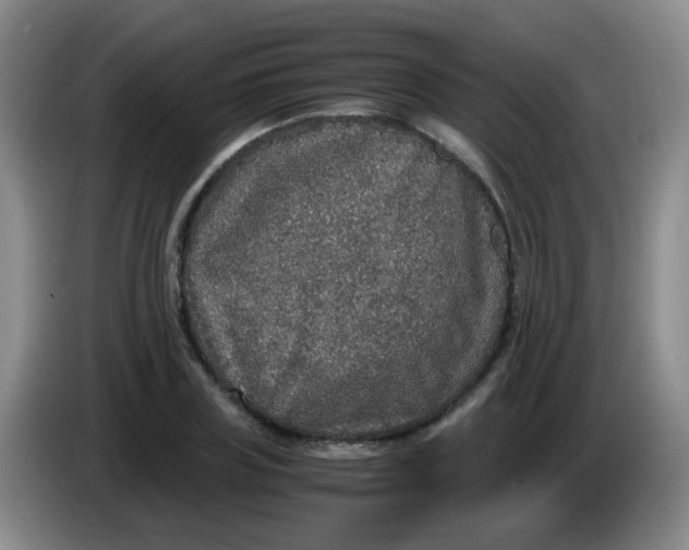 X0000083980835200703091822