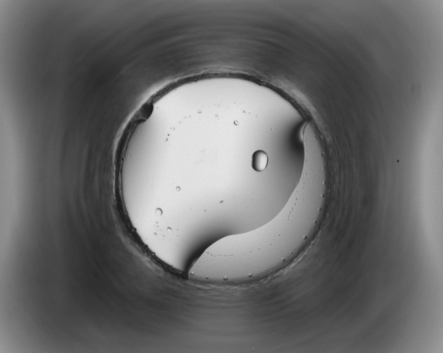 X0000083980836200703091822