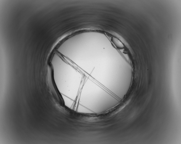 X0000083980837200703091822