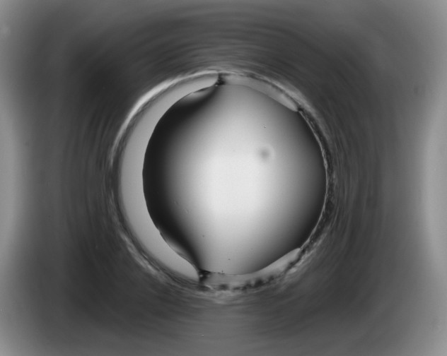 X0000083980838200703091822