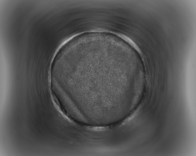 X0000083980839200703091822