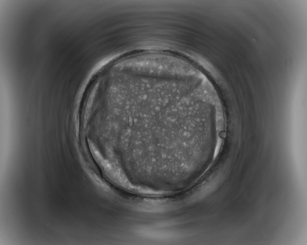 X0000083980840200703091822