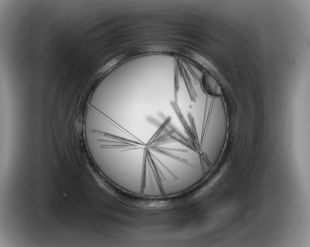 X0000083980841200703091822