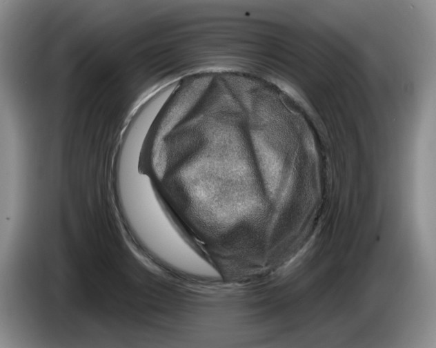 X0000083980842200703091822