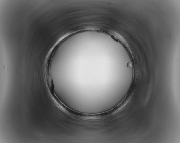 X0000083980843200703091822