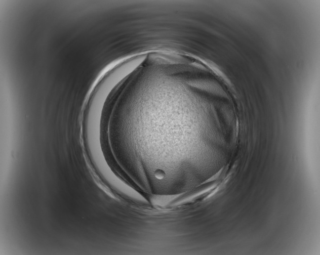 X0000083980846200703091822