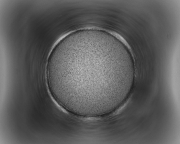 X0000083980847200703091822