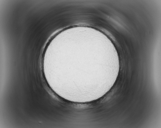 X0000083980848200703091822