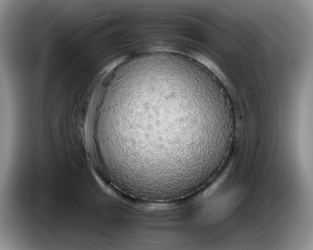 X0000083980849200703091822