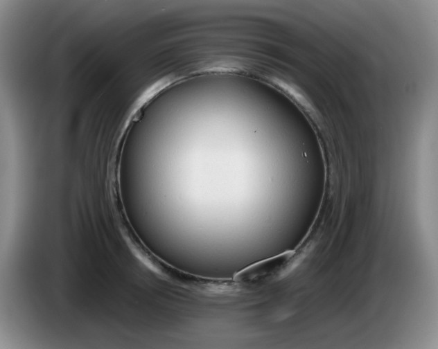 X0000083980850200703091822