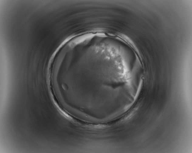 X0000083980851200703091822