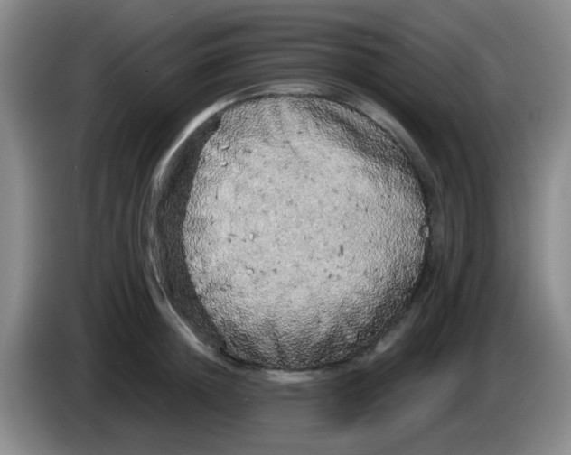 X0000083980852200703091822