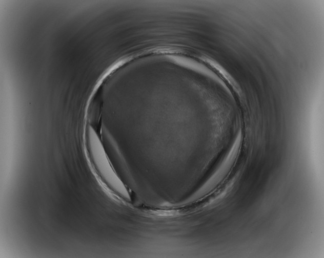 X0000083980853200703091822