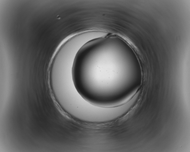 X0000083980854200703091822