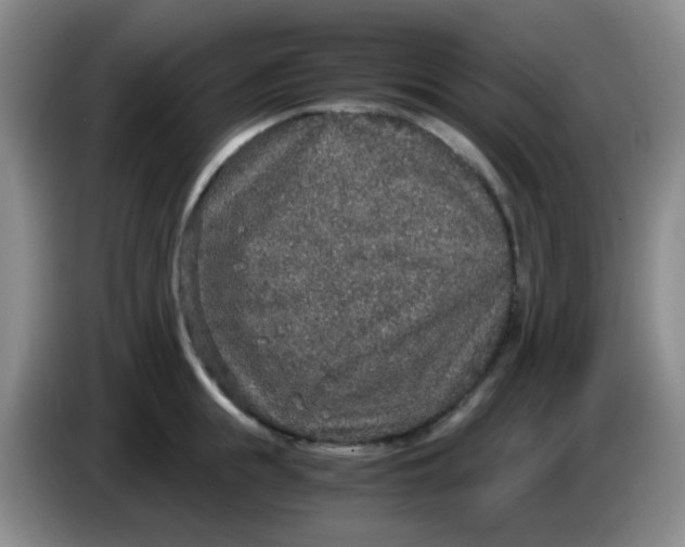 X0000083980855200703091822