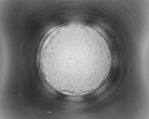 X0000083980856200703091822