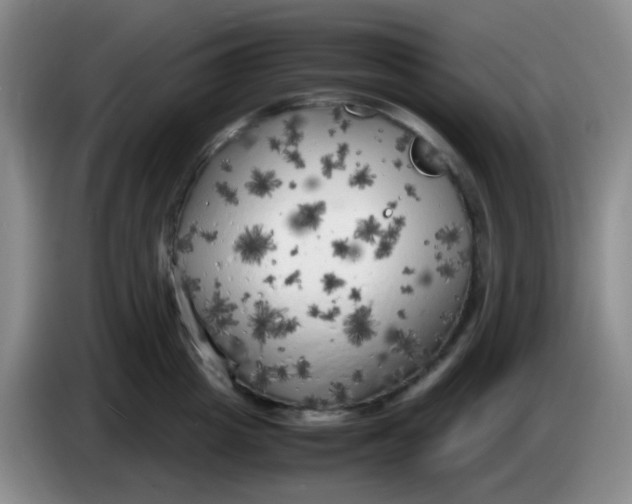 X0000083980857200703091822