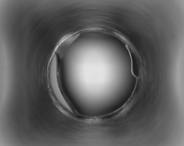 X0000083980858200703091822