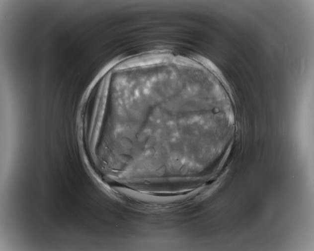 X0000083980859200703091822