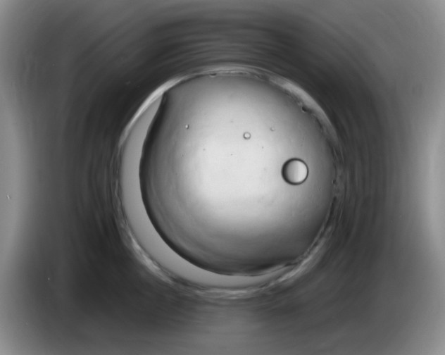 X0000083980860200703091822