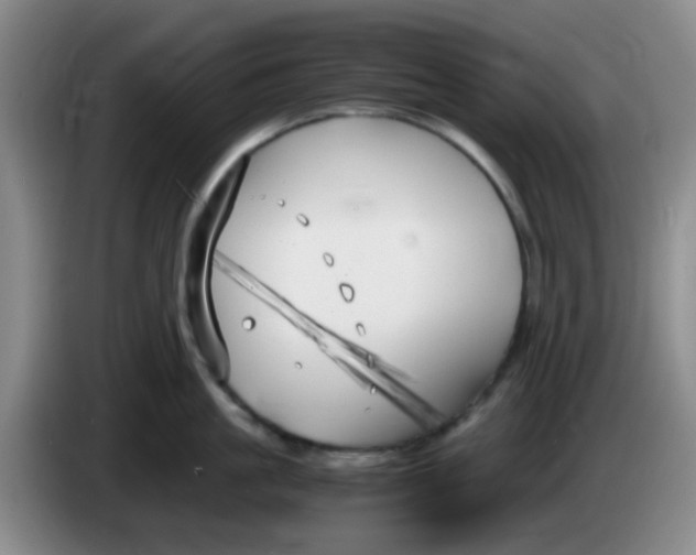 X0000083980861200703091822