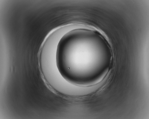 X0000083980862200703091822