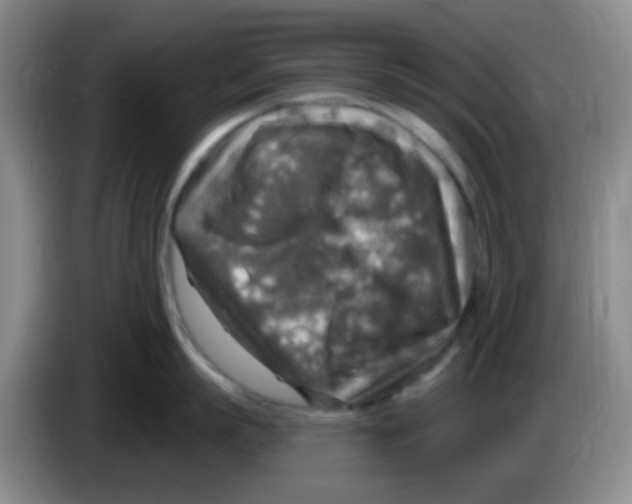 X0000083980863200703091822