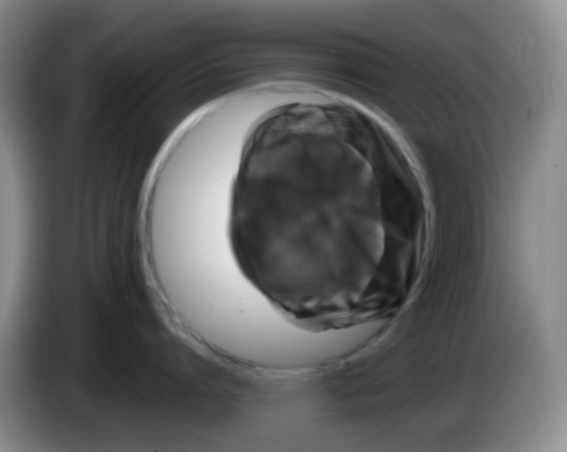 X0000083980864200703091822