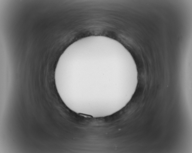 X0000083980865200703091822