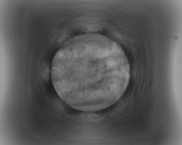 X0000083980866200703091822