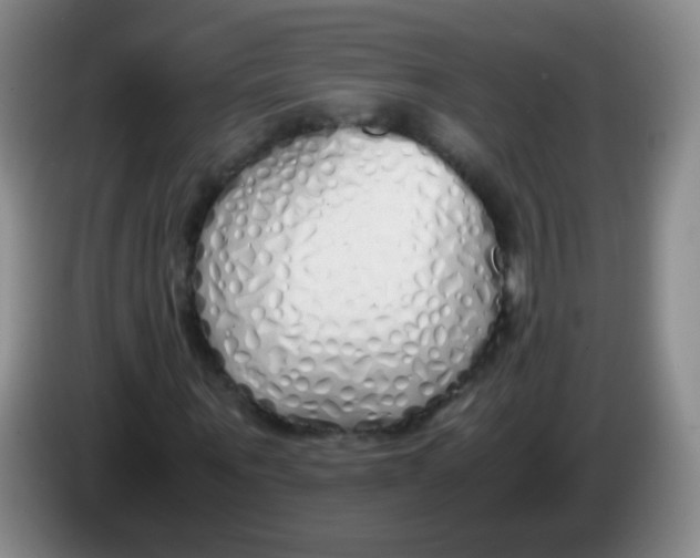 X0000083980867200703091822