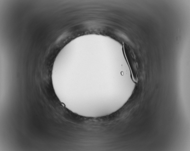 X0000083980869200703091822