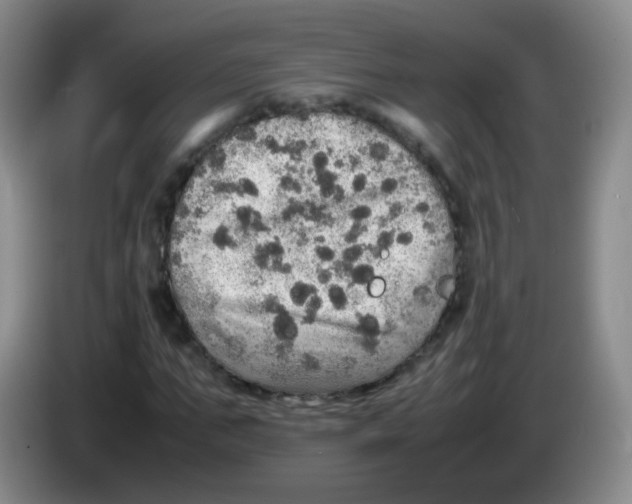 X0000083980871200703091822