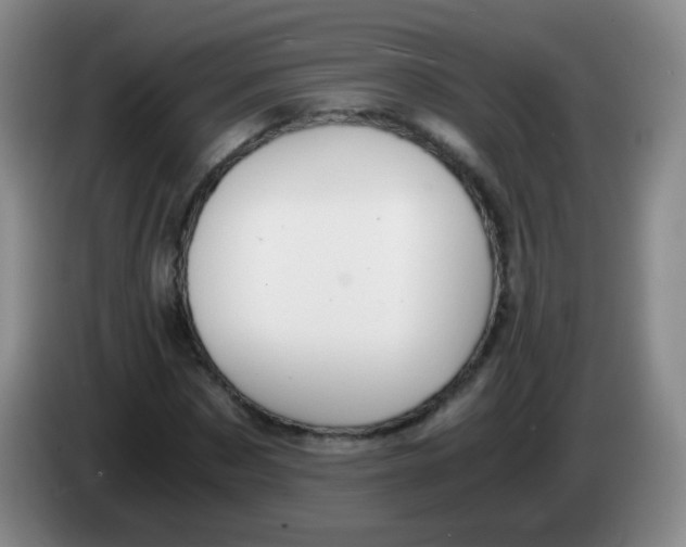 X0000083980873200703091822