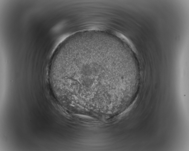 X0000083980875200703091822