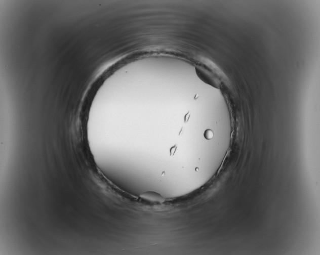 X0000083980876200703091822