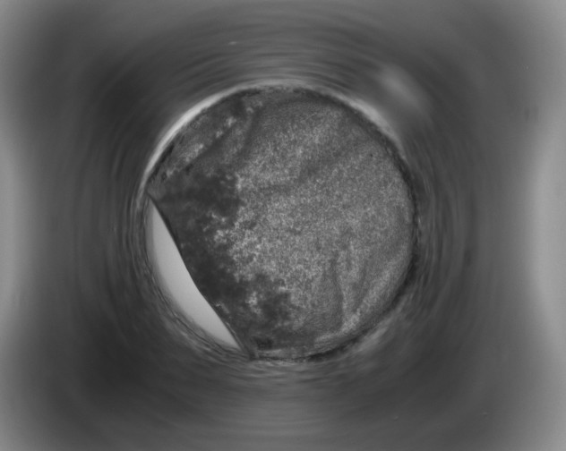 X0000083980879200703091822